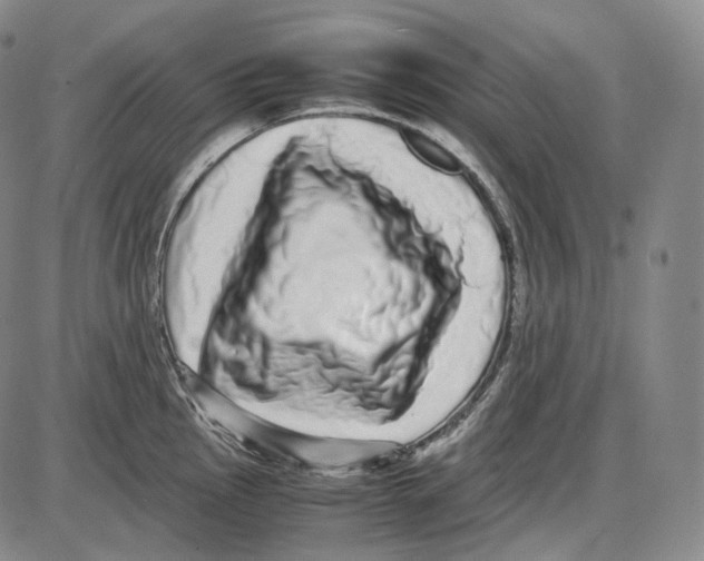 X0000085051145200704021313