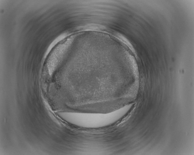 X0000085051146200704021313