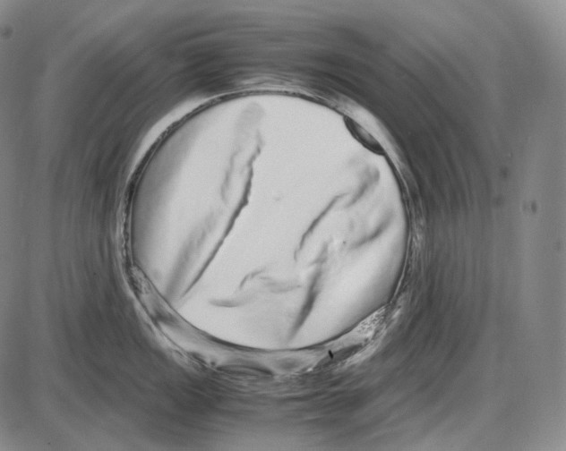 X0000085051149200704021313