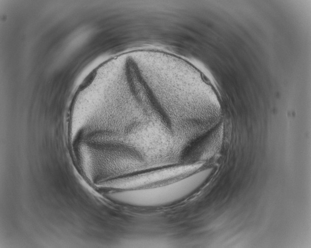 X0000085051151200704021313
