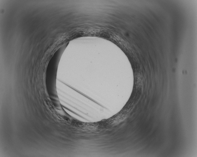X0000085051153200704021312