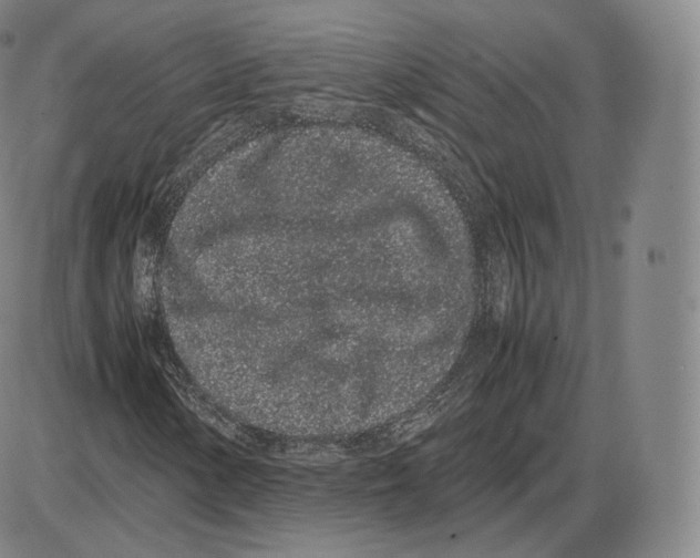 X0000085051154200704021312