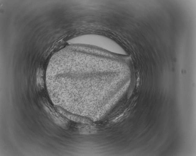 X0000085051156200704021312