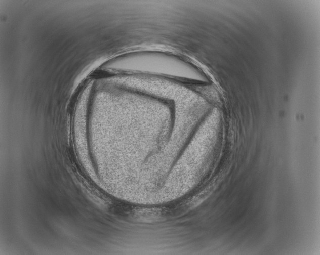 X0000085051171200704021312
