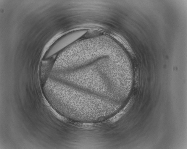 X0000085051180200704021311