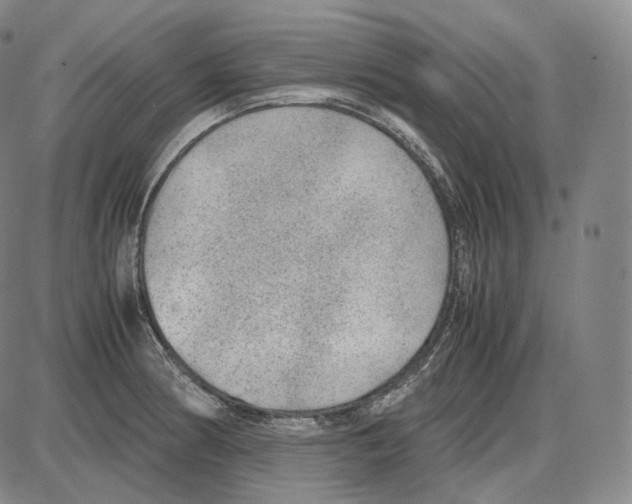 X0000085051186200704021311