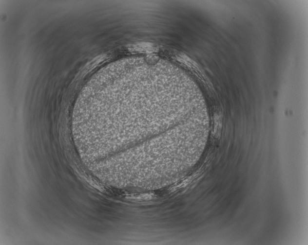 X0000085051201200704021310
