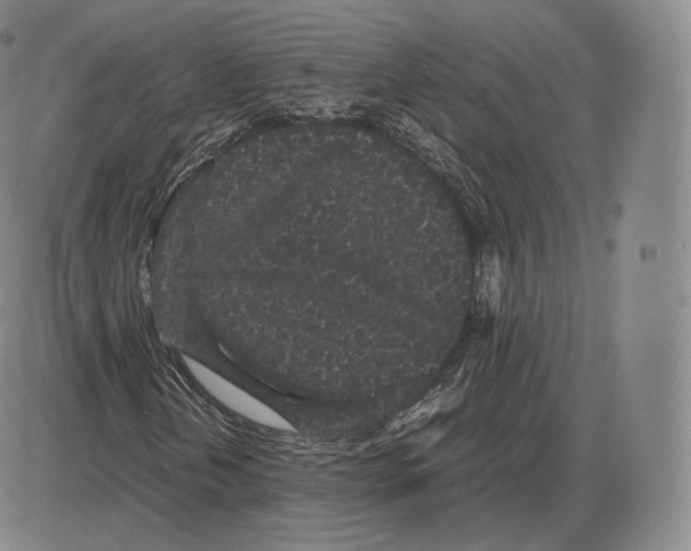 X0000085051202200704021310