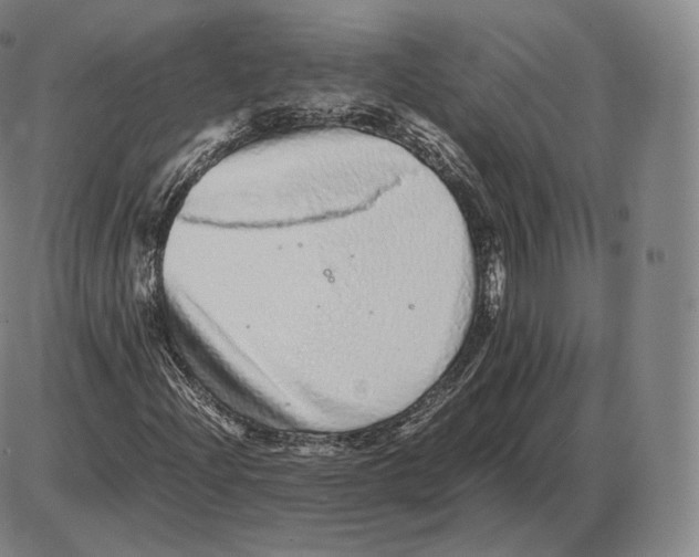 X0000085051204200704021310
