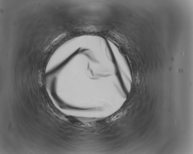 X0000085051205200704021310