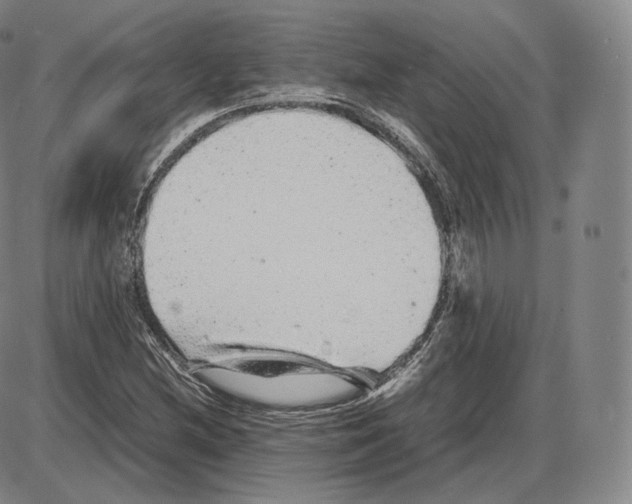 X0000085051212200704021311