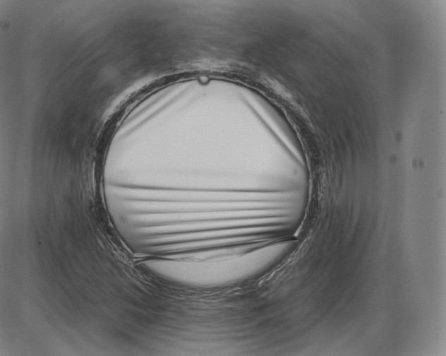 X0000085051214200704021311