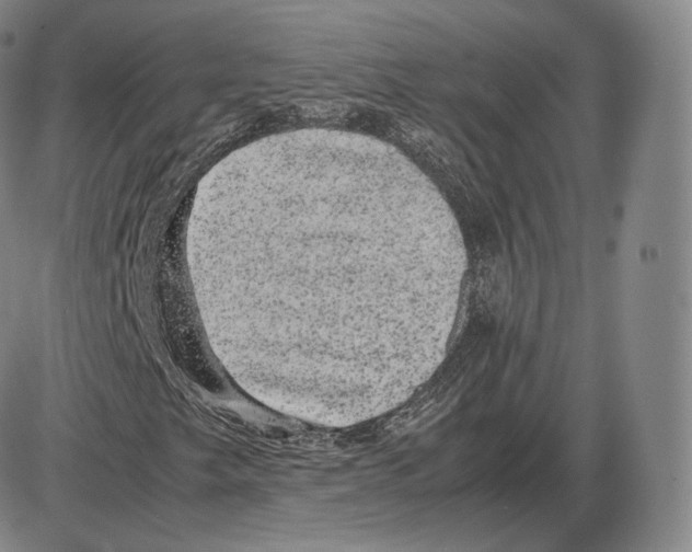 X0000085051249200704021310