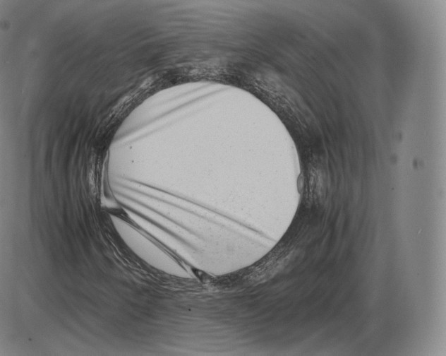 X0000085051250200704021310