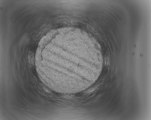 X0000085051251200704021310