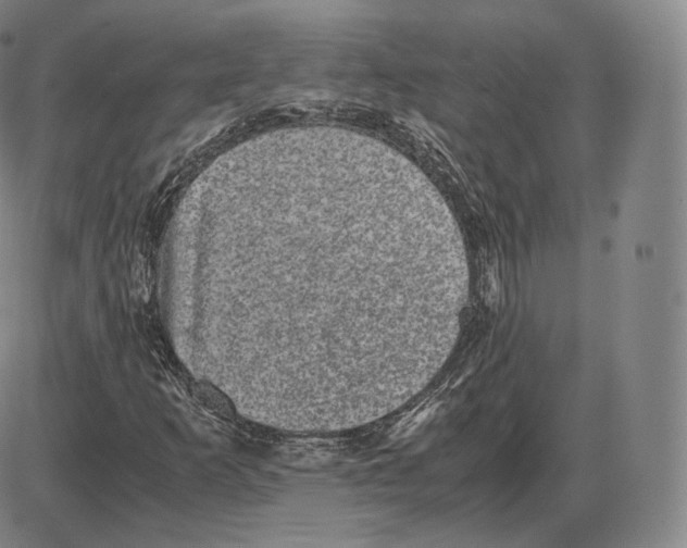 X0000085051253200704021310