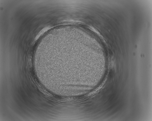 X0000085051259200704021310