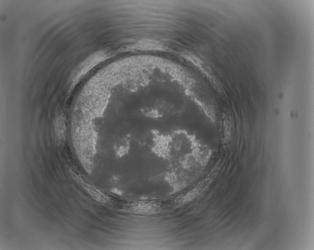 X0000085051266200704021310