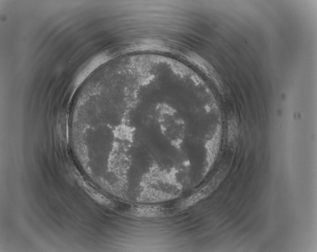 X0000085051274200704021310