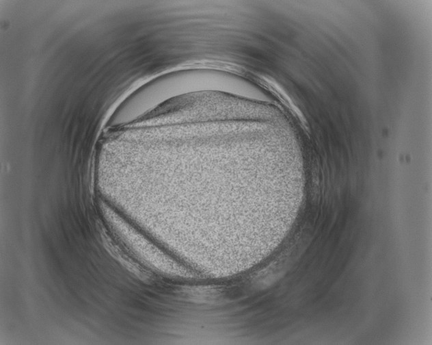 X0000085051276200704021310