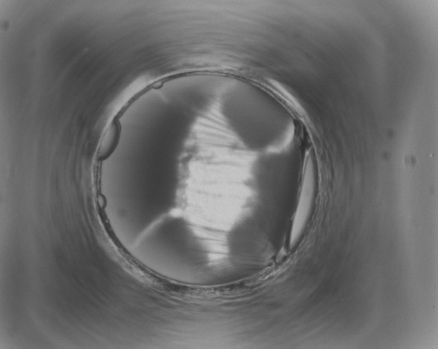 X0000085051291200704021310