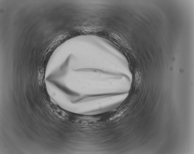 X0000085051300200704021309