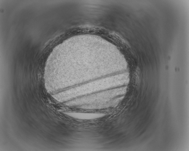X0000085051302200704021309