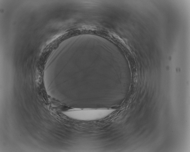 X0000085051303200704021309