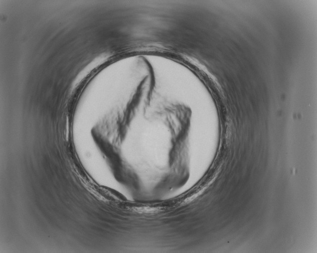 X0000085051317200704021309