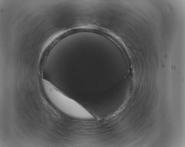 X0000085051319200704021309
