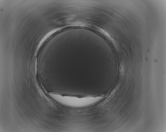 X0000085051323200704021309