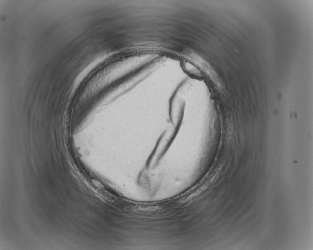X0000085051325200704021309