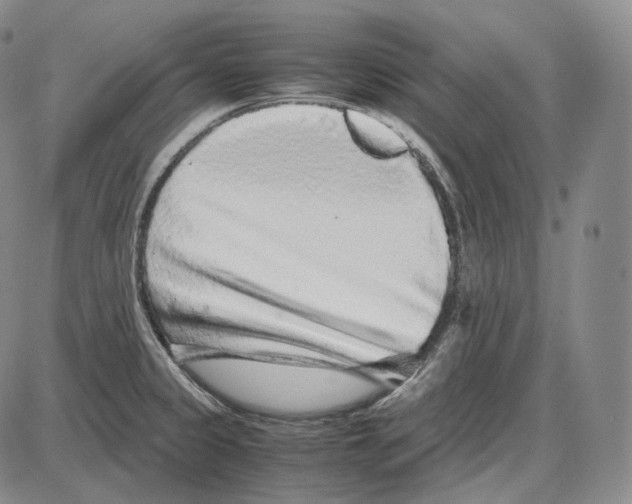 X0000085051333200704021309