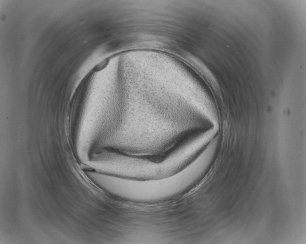 X0000085051340200704021309