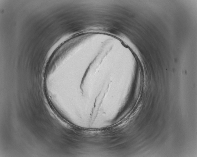 X0000085051341200704021309