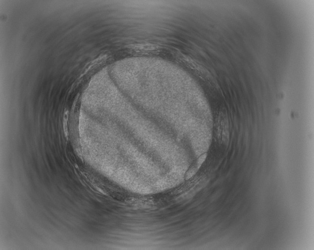 X0000085051346200704021309