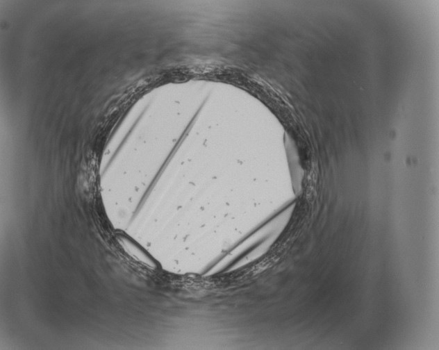 X0000085051349200704021309
