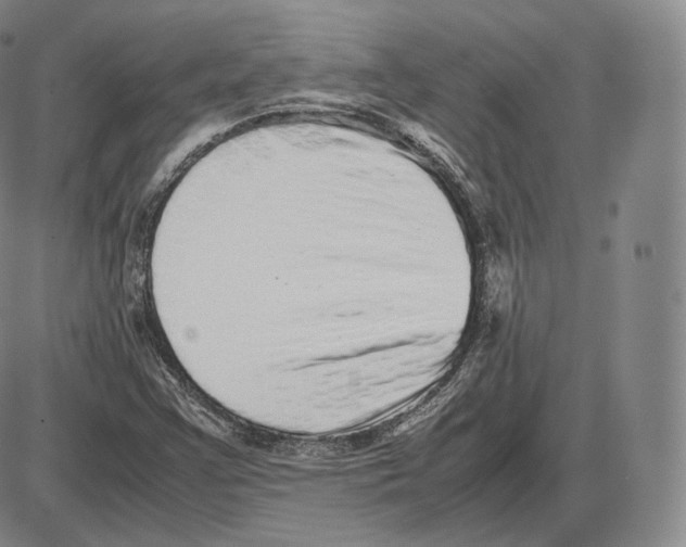 X0000085051355200704021309