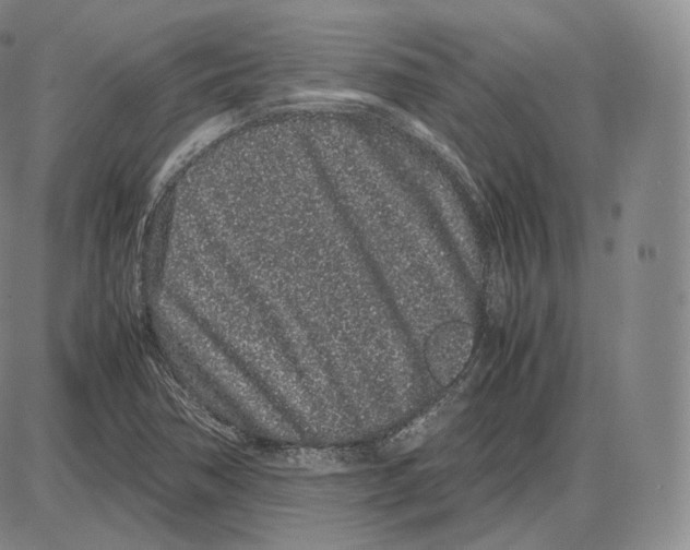 X0000085051362200704021308