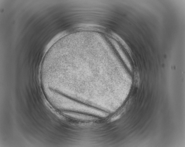 X0000085051386200704021308