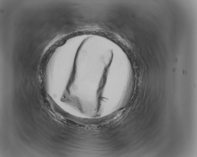 X0000085051400200704021307