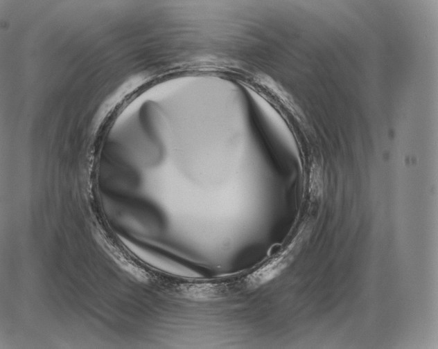 X0000085051410200704021307
