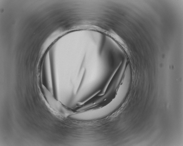 X0000085051430200704021308