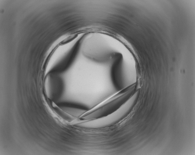 X0000085051434200704021308