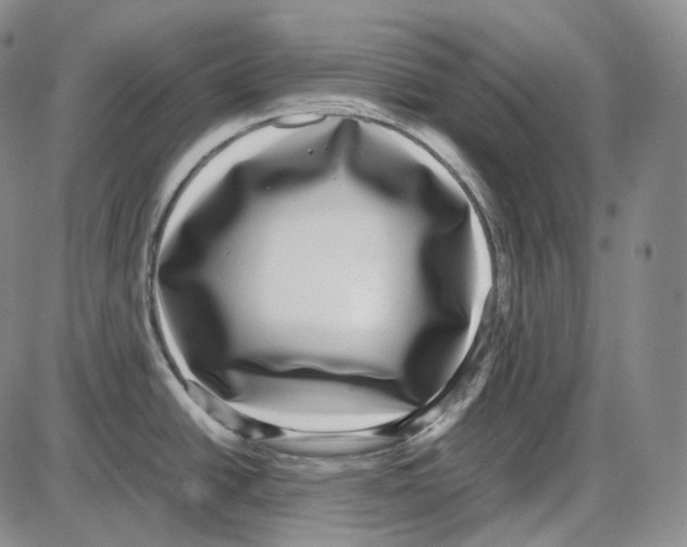 X0000085051438200704021308