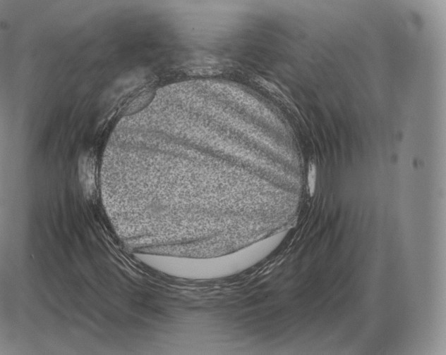 X0000085051444200704021307