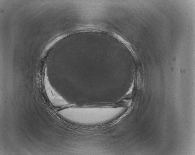 X0000085051453200704021307