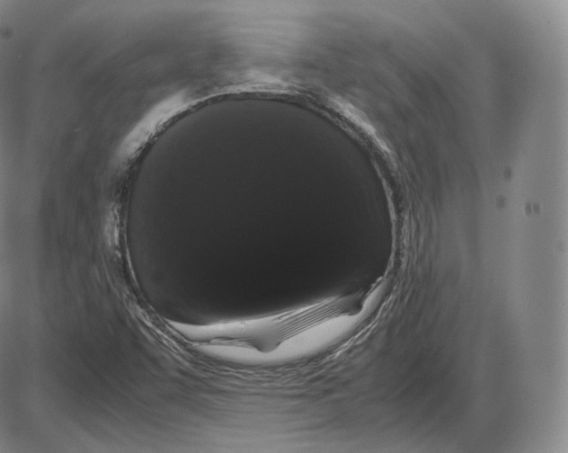 X0000085051455200704021307