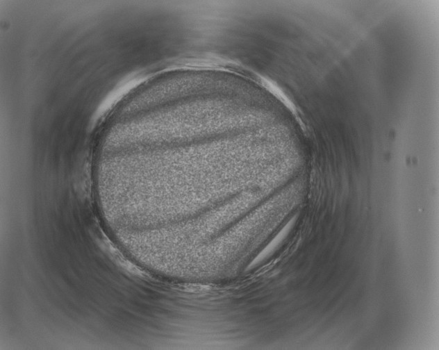 X0000085051456200704021307