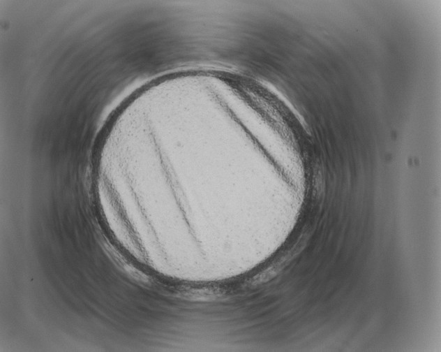 X0000085051460200704021307
